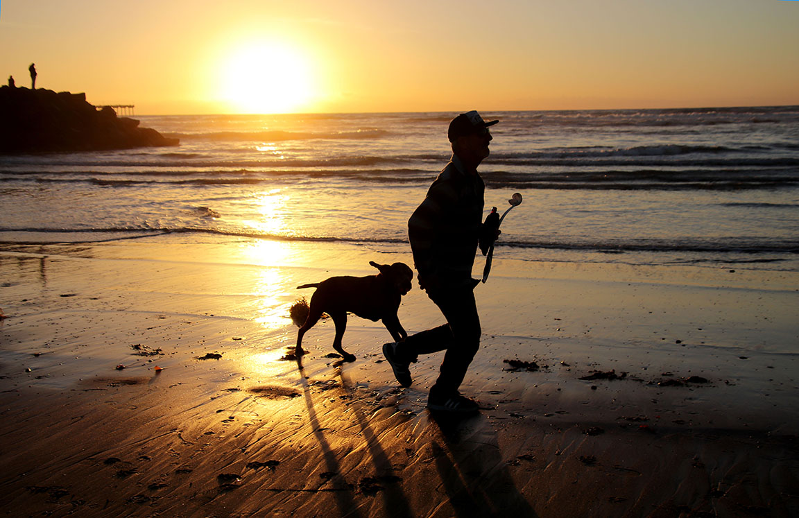 Dog Beach, San Diego