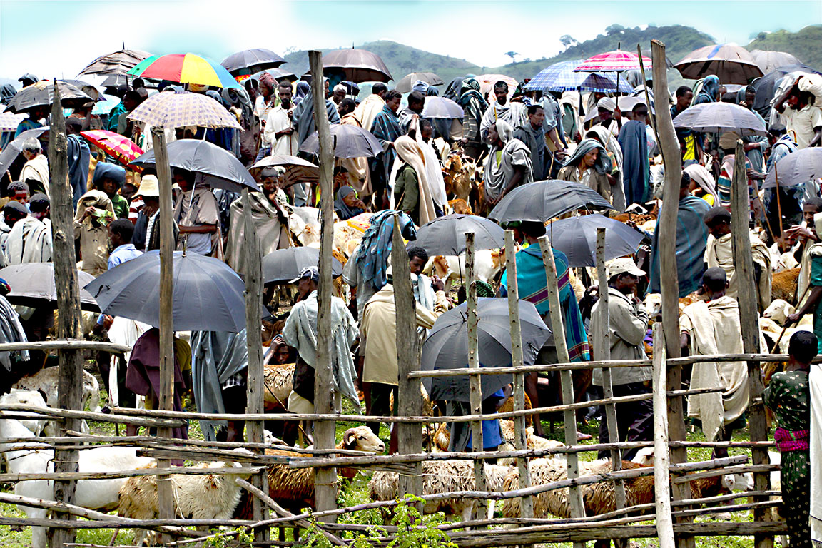Livestock market Ethiopia