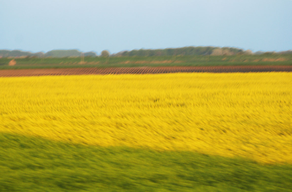 English countryside from the train